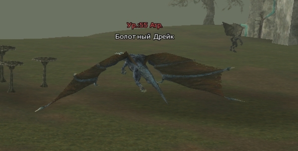Болотный Дрейк (Marsh Drake)