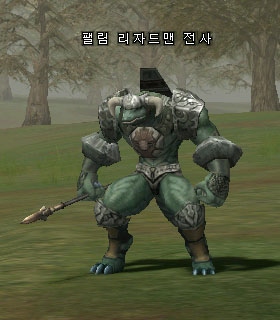 Felim Lizardman Warrior