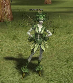 Dryad Elder
