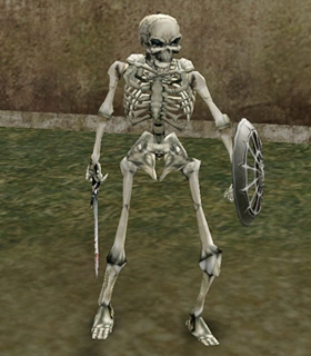 Skeleton Tracker Leader