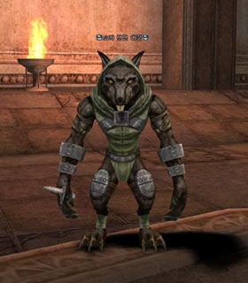 Sukar Wererat Leader