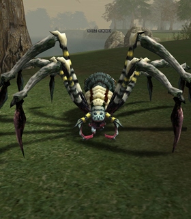 Arachnid Predator