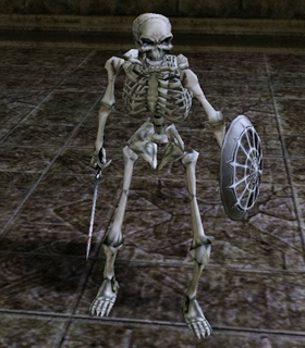 Skeleton