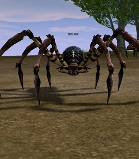 Giant Spider
