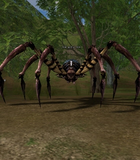 Talon Spider