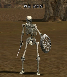 Skeleton Raider