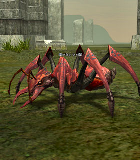 Giant Crimson Ant