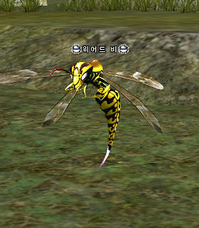 Stinger Wasp