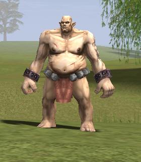 Turak Bugbear Warrior