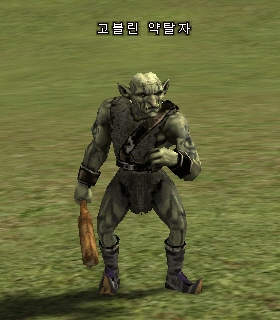 Goblin Raider