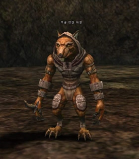 Boogle Ratman Leader