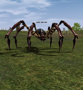 Red Scavenger Spider