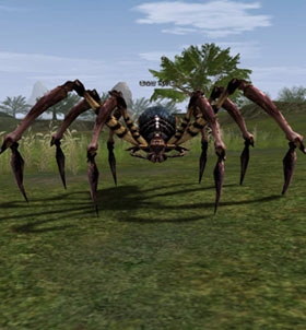 Scavenger Spider