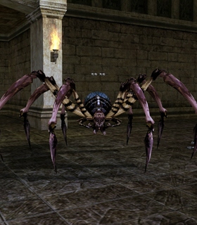 Dungeon Spider