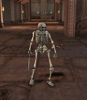 Dungeon Skeleton