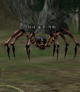 Kasha Fang Spider