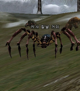 Kasha Blade Spider