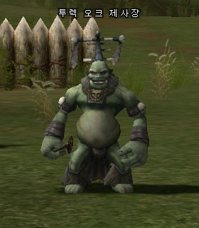 Turek Orc Shaman