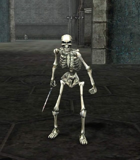 Skeleton Hunter