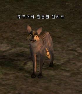 Elder Prairie Keltir