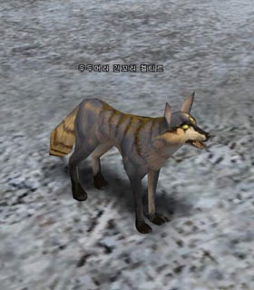 Elder Longtail Keltir