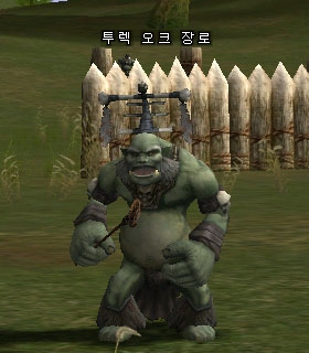 Turek Orc Elder