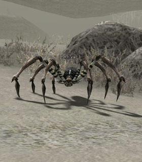 Trisalim Spider