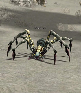 Trisalim Tarantula