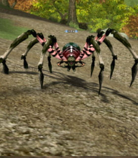 Kronbe Spider