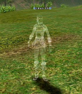 Forest of Mirrors Ghost