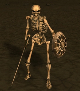 Dragon Bearer Warrior