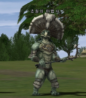 Shaman of the Plains