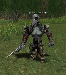 Timak Orc Troop Leader