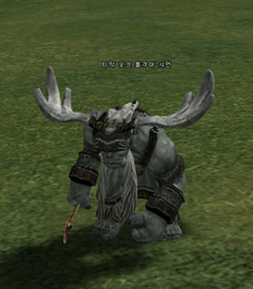 Timak Orc Troop Shaman