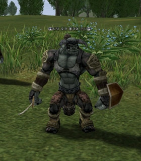 Timak Orc Troop Warrior