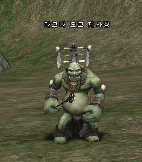 Ragna Orc Seer