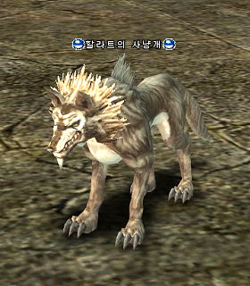 Hound Dog of Hallate