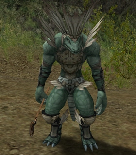 Maille Lizardman Shaman