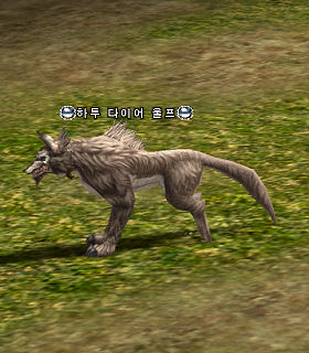 Hatu Dire Wolf