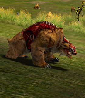 Hatu Crimson Bear