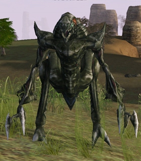 Lesser Warlike Tyrant