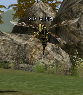 Giant Poison Bee