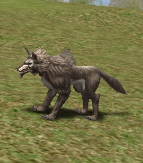 Kasha Dire Wolf