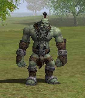 Turek Mercenary Captain