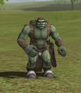 Turek Mercenary Archer