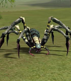 Retreat Spider Cletu