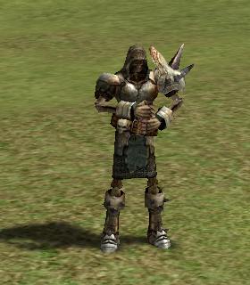 Karte's Chief Knight