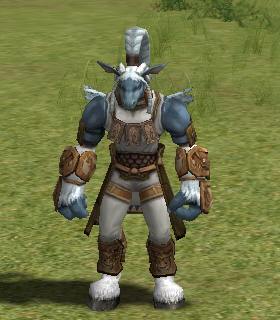 Korim Chief Guard Kaywon