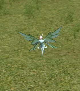 Timiniel's Royal Guard Captain