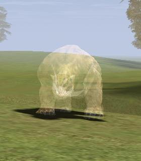 Kasha Bear Totem Spirit